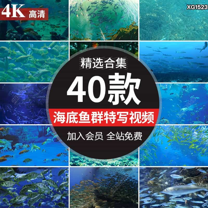 海底鱼群海底世界海洋馆水族观赏鱼特写LED背景剪辑高清视频素材