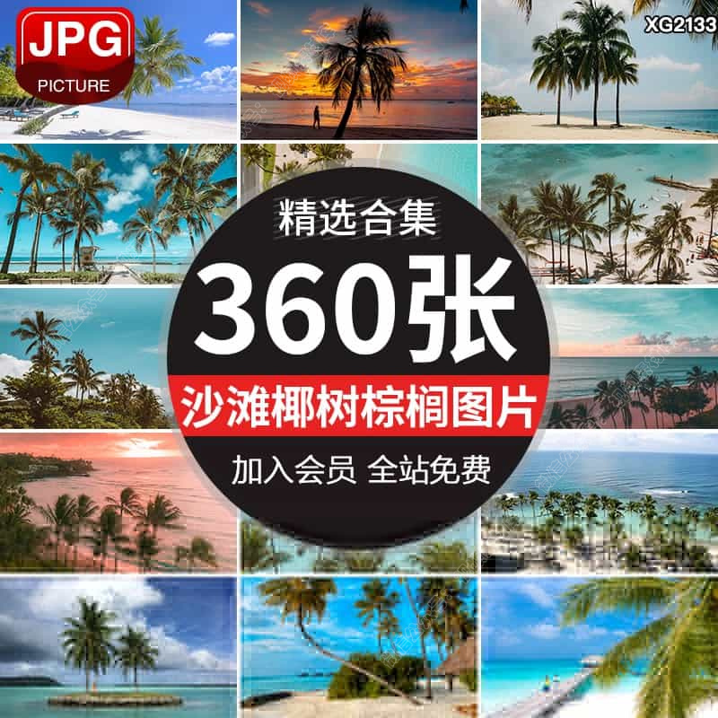 热带海滩沙滩棕榈椰树海边蓝天白云夏日清新日出黄昏夕阳图片素材