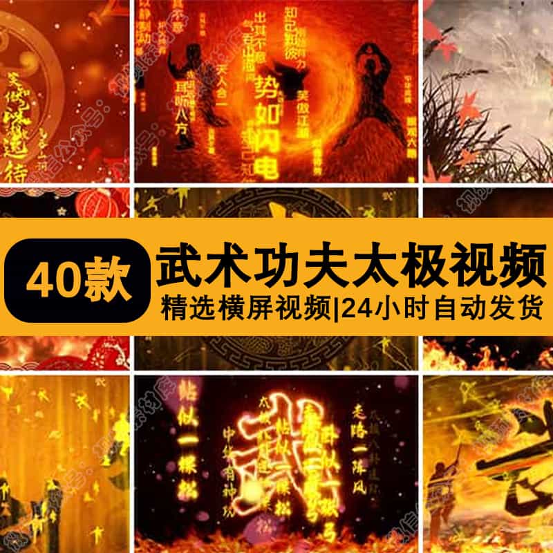 中国风武术功夫太极南拳北腿少林表演武字背景LED大屏幕视频素材
