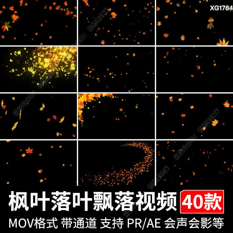 秋天枫叶落叶飘落叶子下落动画元素MOV透明通道后期合成视频素材