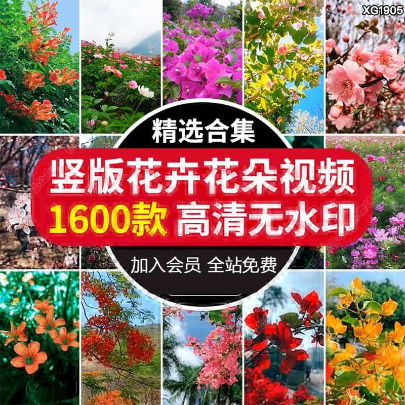 竖屏春天桃花盛开鲜花朵花卉春暖花开抖音自然风景高清短视频素材