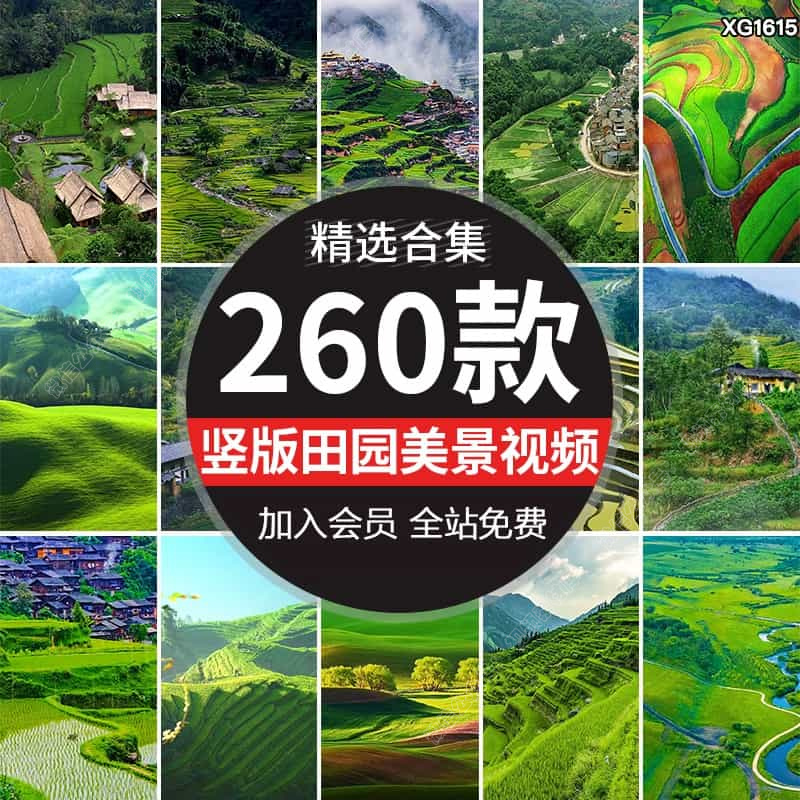 竖屏版农村田园梯田风光风景美景清新绿色直播背景抖音短视频素材
