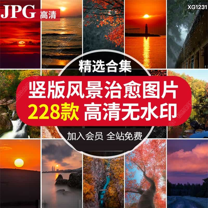 竖版枫叶飘落日出日落夕阳晚霞云彩天空治愈唯美情感高清图片素材