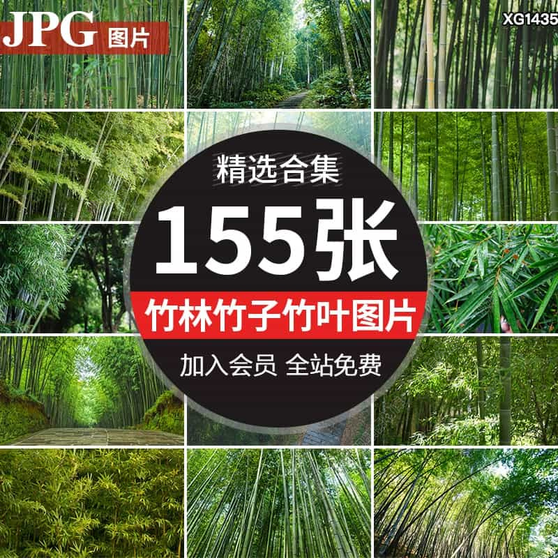 竹林竹子竹叶竹枝青翠密林绿色清新自然风景设计合成背景图片素材