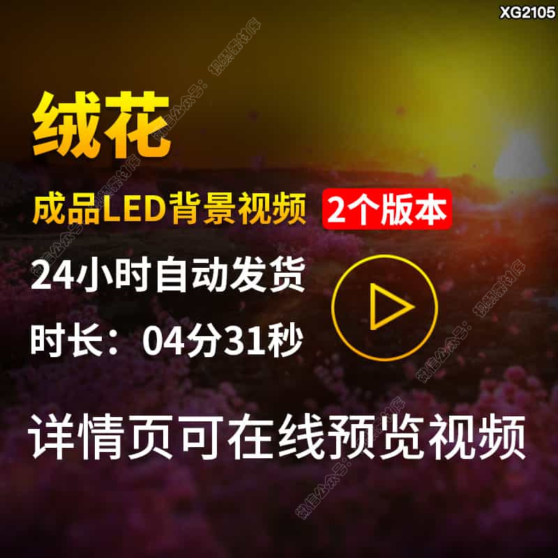 绒花芳华配乐歌曲背景花海映山红爱国红歌演出舞蹈大屏幕视频素材