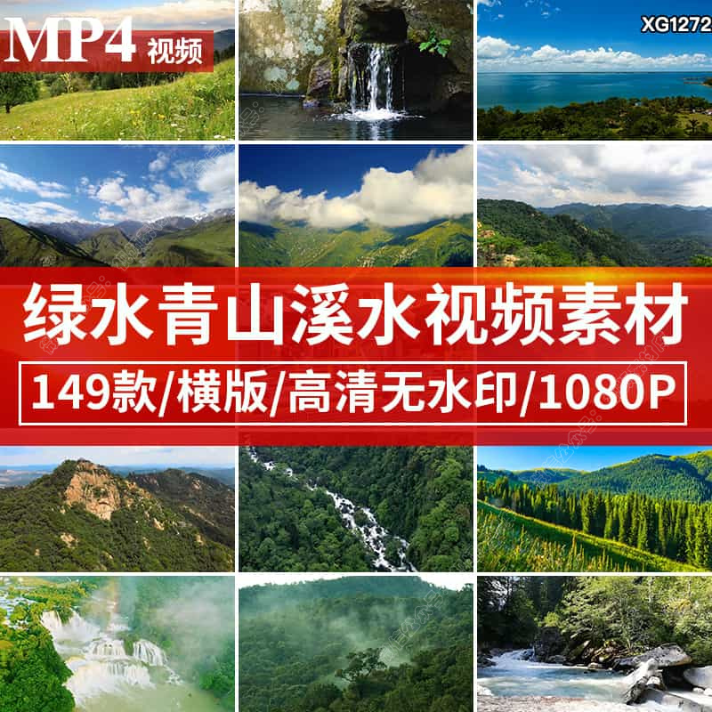 绿色植物实拍蒲公英开花空镜头雨露森林大自然发芽生成长视频素材