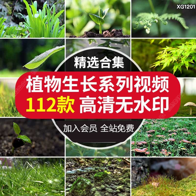 绿水青山高山生态大自然环境绿树唯美山林小溪水山青水秀视频素材