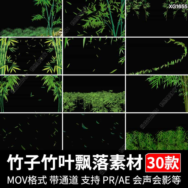 绿色竹叶飘落竹林竹叶树叶绿叶竹子pr_ae透明通道mov合成视频素材