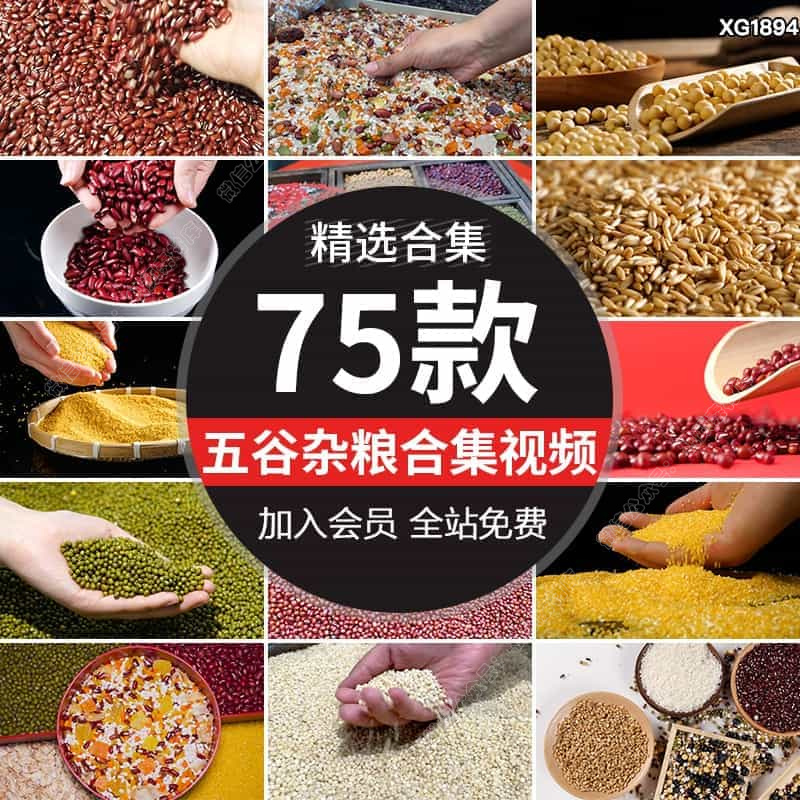 五谷杂粮黄小米绿豆黄豆黑豆红豆大豆类燕麦粗粮谷物食材视频素材