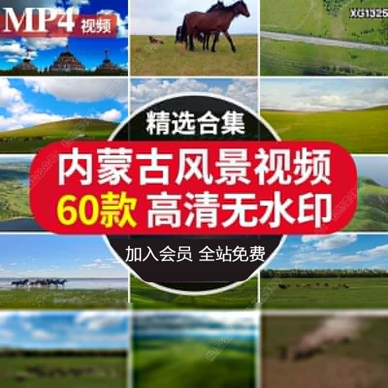 内蒙古包群鸟瞰航拍延时风景自然风光大草原牛马蓝天白云视频素材