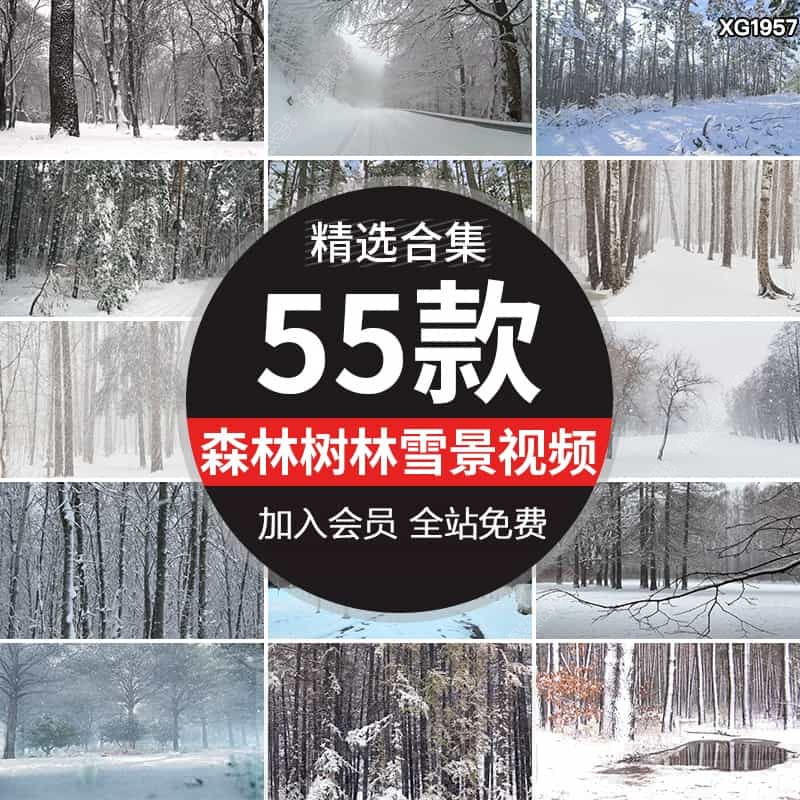 冬季森林雪中树林雪景雾凇大雪下雪花飘落积雪冬天实拍短视频素材