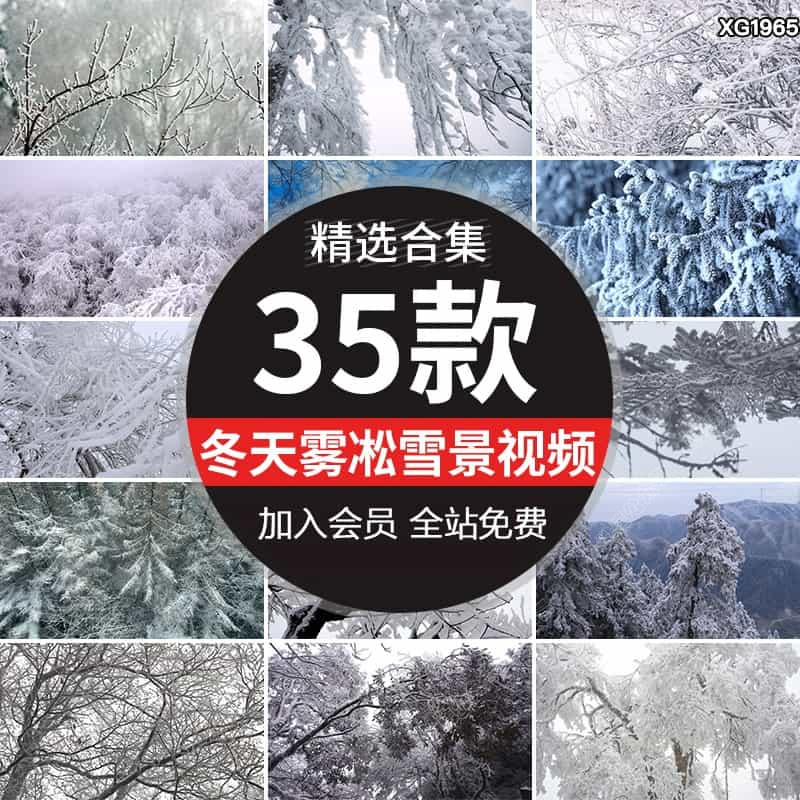 冬季雾凇美景冬天树枝雪松积雪特写雪景冬日冰天雪地剪辑视频素材