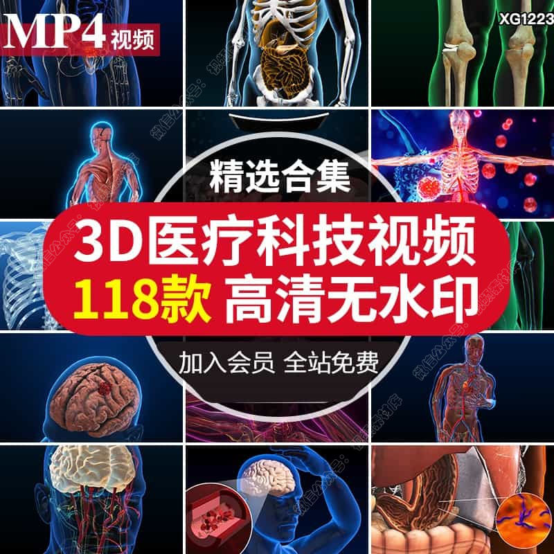 医疗3D科技健康疾病三维大脑骨骼人体器官医学动画演示片视频素材
