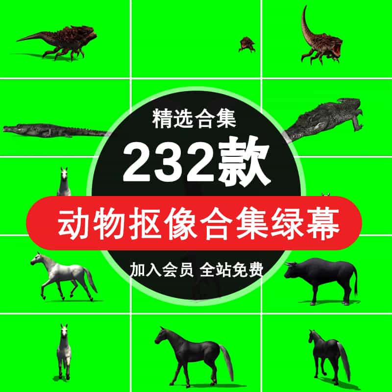 高清动物绿幕抠像视频素材(2)
