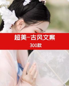 超美古风文案