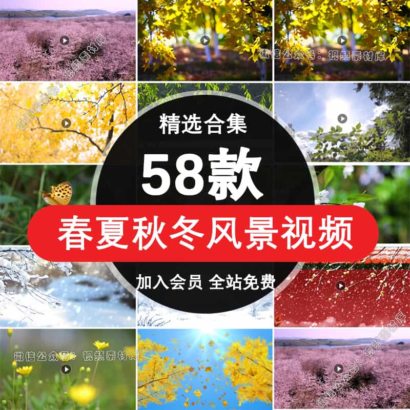 秋天冬天夏天春天春夏秋冬四季变化雪景花草背景动态led视频素材【249期】