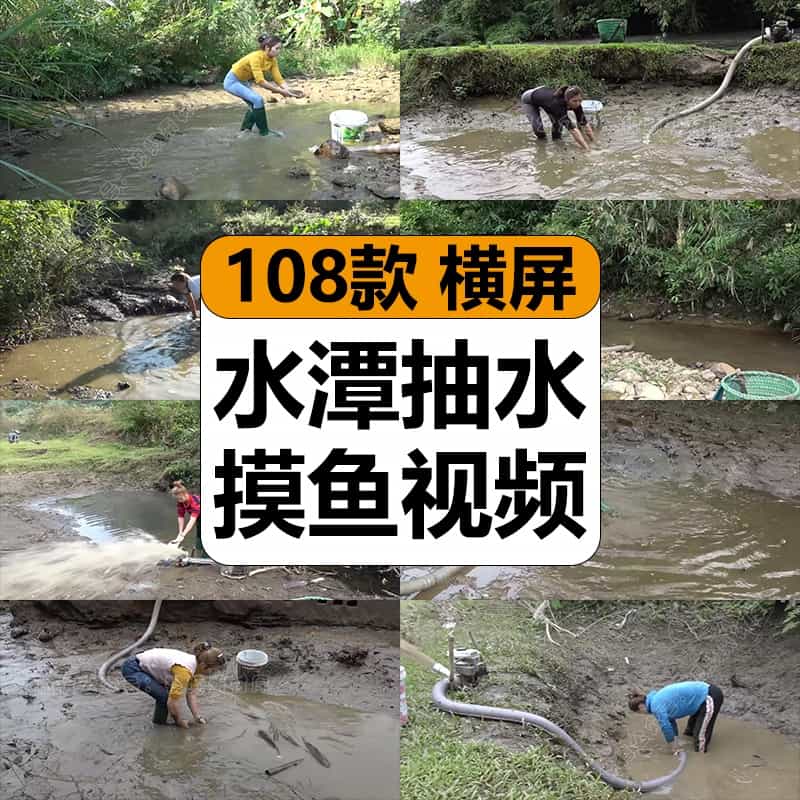 农村水潭水池坑抽水摸鱼泥潭捉鱼有趣味高清抖音无人直播视频素材
