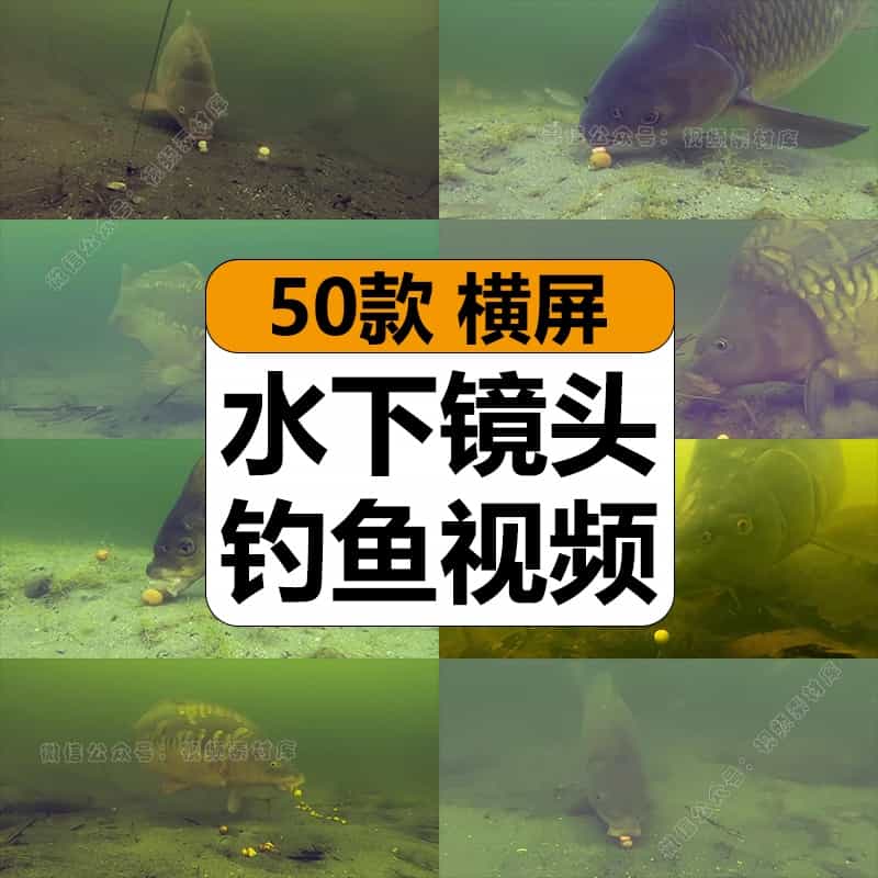 国外水底镜头拍摄钓鱼捕鱼水下吃鱼饵上钩中视频计划解说高清素材