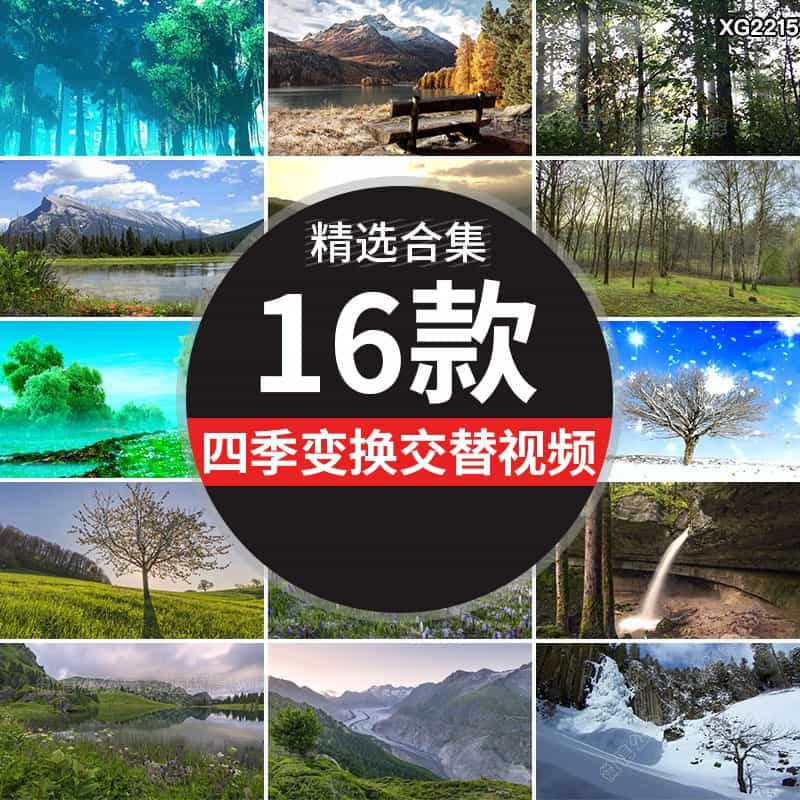 春夏秋冬一年四季变换延时植物变化季节交替变幻万物复苏视频素材