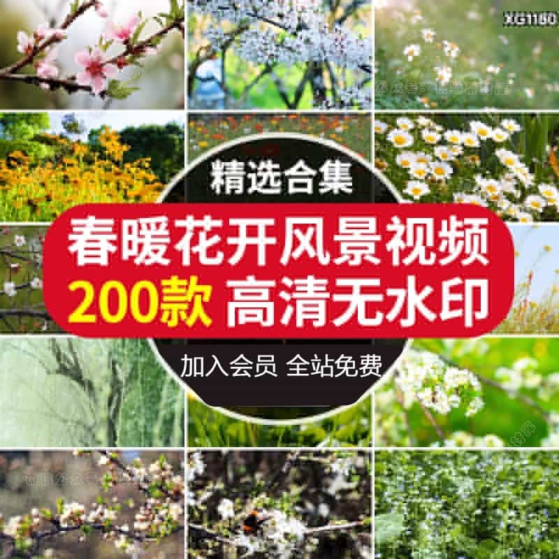 春暖花开放高清春天风景花朵绽放自然植物樱花盛开鲜花短视频素材