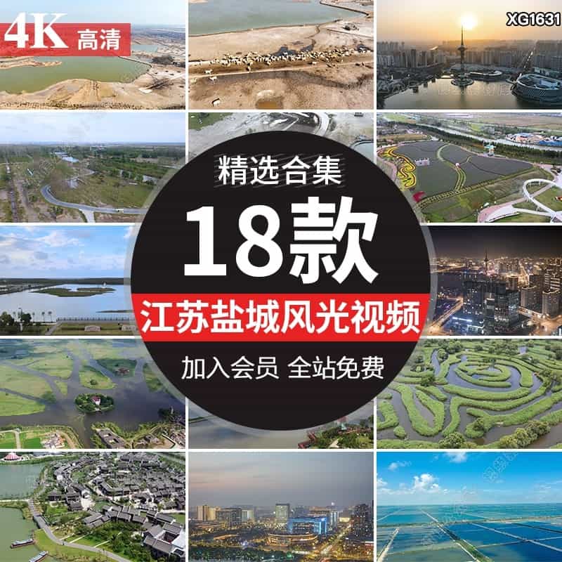 江苏盐城城市建筑夜景地标旅游风景点风光麋鹿园实拍高清视频素材
