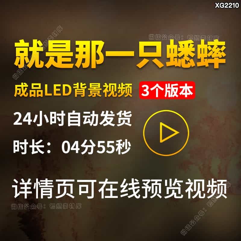 流沙河就是那一只蟋蟀朗诵读配乐伴奏LED舞台晚会大屏幕视频素材