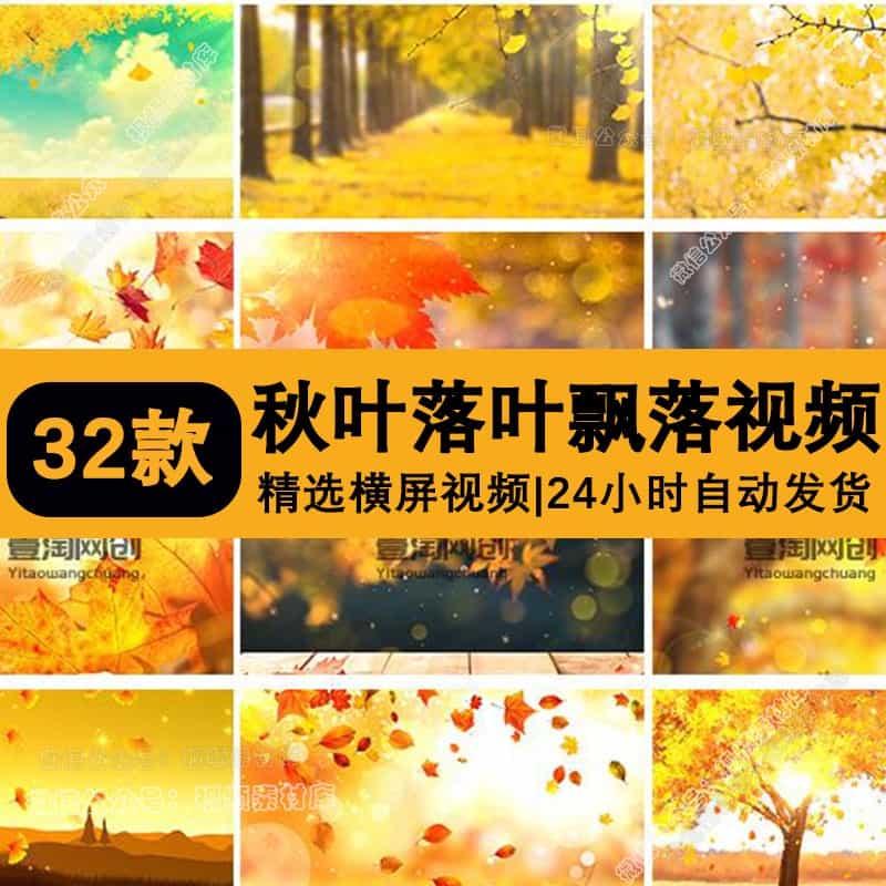 秋天枫叶金黄银杏红树叶飘落叶美景风景婚礼晚会led背景视频素材