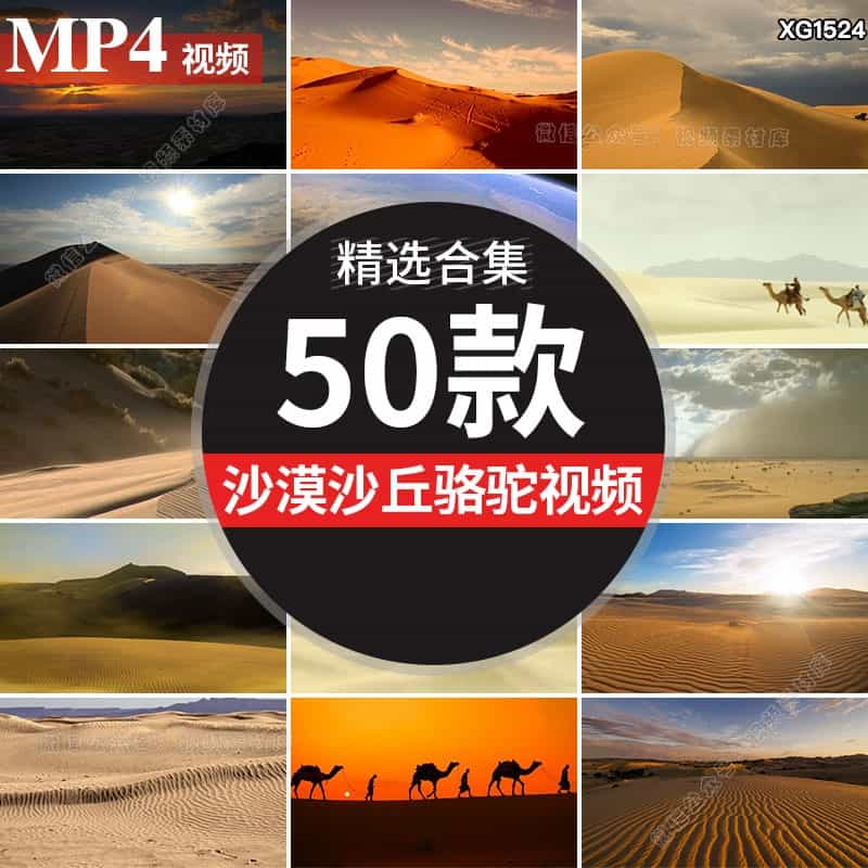 航拍沙漠戈壁骆驼商队行走风沙沙丘沙粒丘壑丝绸之路景观视频素材