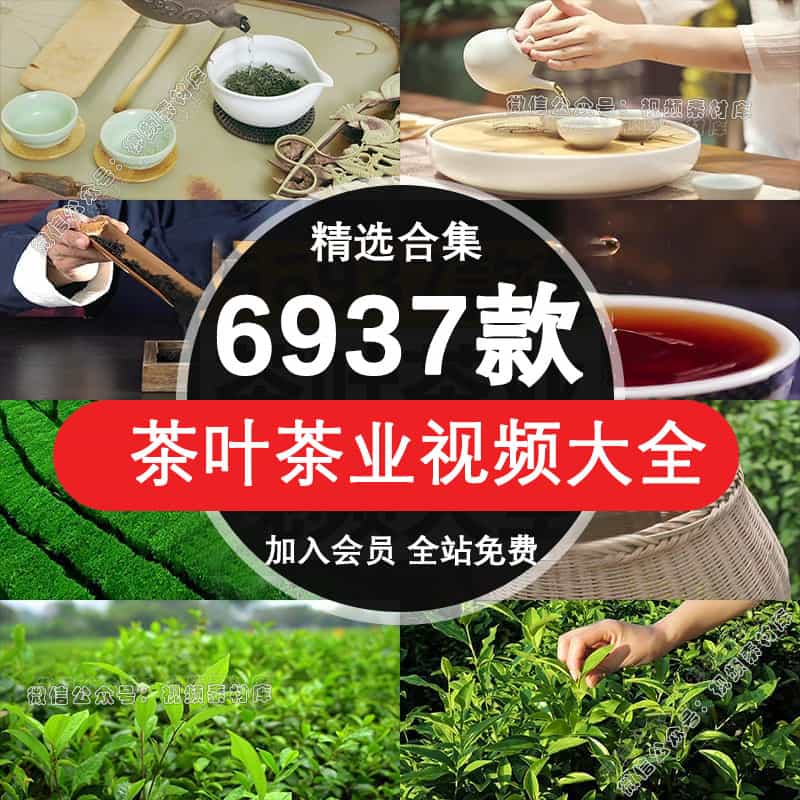 茶叶茶业短视频素材茶道图片文案脚本抖音直播话术茶园文化泡倒茶