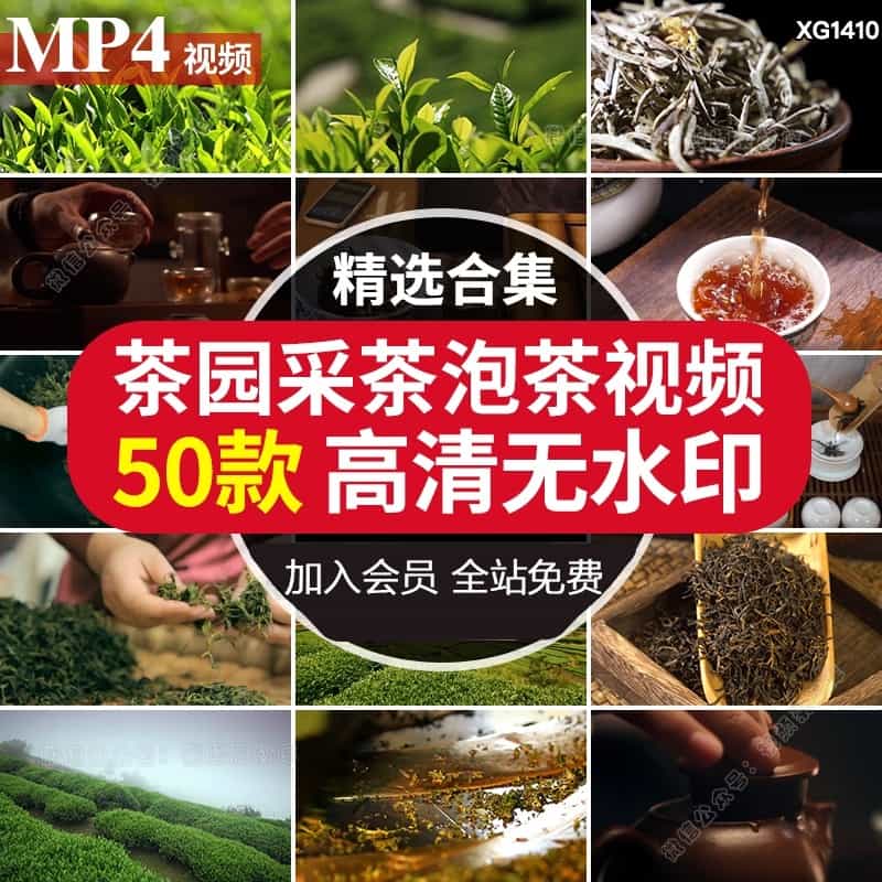 茶园采茶嫩绿色茶叶茶树特写冲泡茶红茶茶道喝茶品茶剪辑视频素材